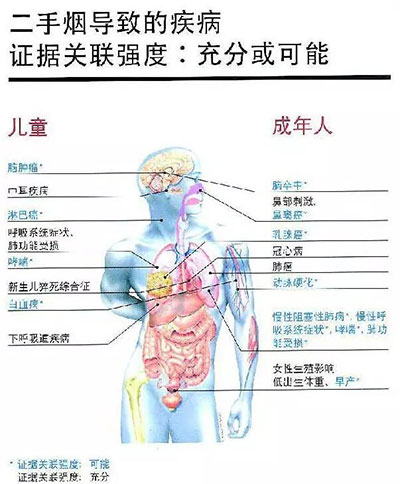 吸煙室空氣凈化機 吸煙室空氣凈化機